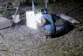 [매탈남] 새벽 3시에 지네랑 싸우다가 물린 고양이 까칠이.gif | 인스티즈