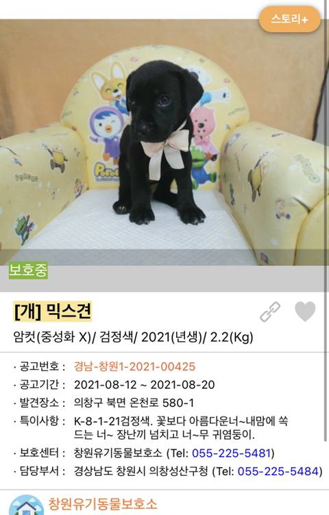 사랑이 느껴지는 포인핸드의 담당자들 | 인스티즈