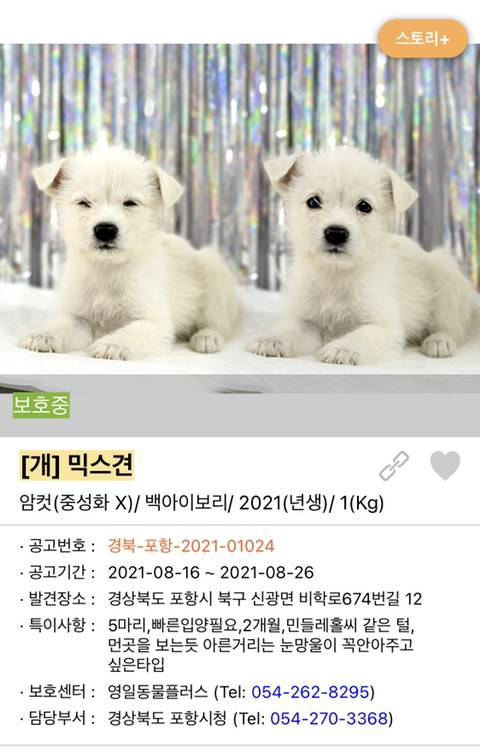 사랑이 느껴지는 포인핸드의 담당자들 | 인스티즈