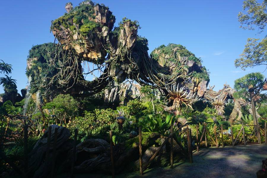 세계에서 관광객이 가장 많이 방문하는 테마파크-월트 디즈니 월드 | 인스티즈