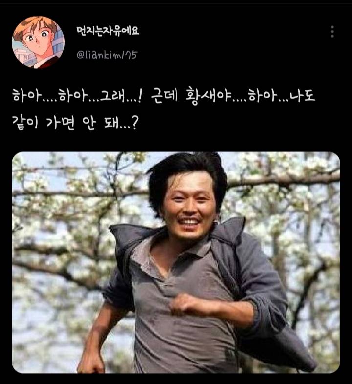 속담 저급하게 말하기 대회.twt | 인스티즈