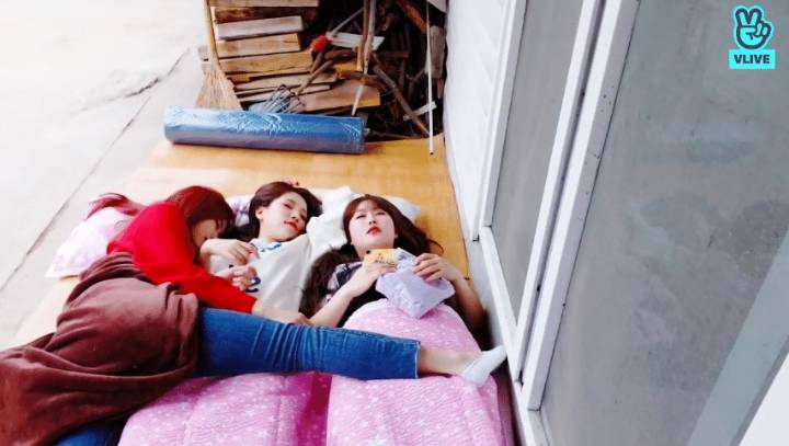 24시간이 모자르게 악개들한테 시달리는 러블리즈 베이비소울 | 인스티즈