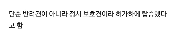 비행기 승객이 뭔가 이상하다 | 인스티즈