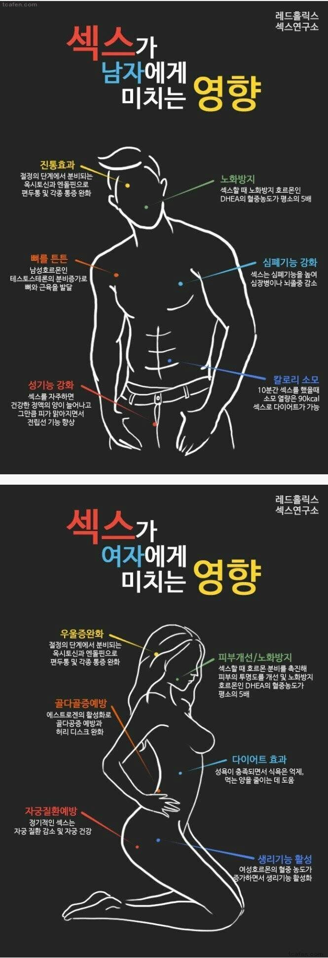 ㅅㅅ가 남 녀에게 미치는 영향 | 인스티즈