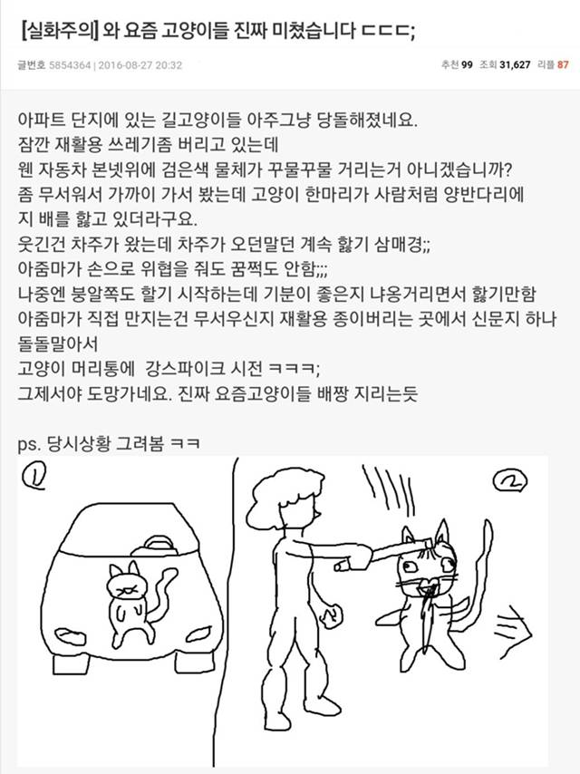 와 요즘 고양이들 진짜 미쳤습니다 ㄷㄷㄷ | 인스티즈