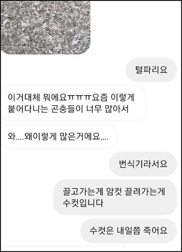 모르는게 없는 유튜버ㅋㅋㅋㅋㅋㅋ.jpg | 인스티즈