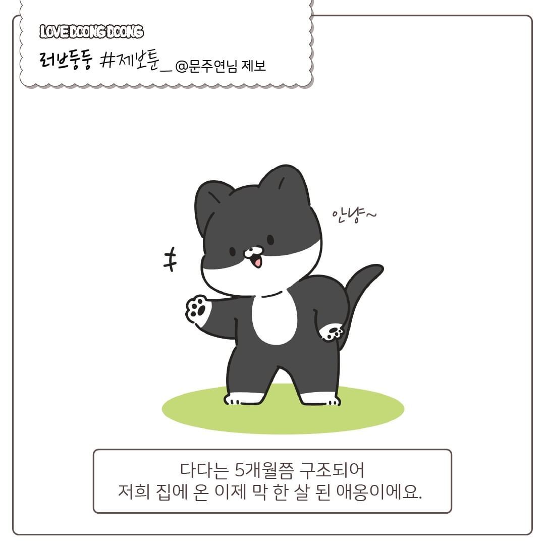 창틀에 낑겨서 자는 고양이.jpg | 인스티즈