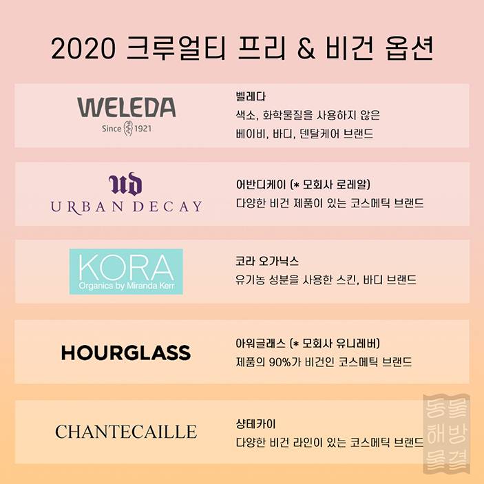 동물실험 안하는 브랜드 & 하는 브랜드 정리 | 인스티즈