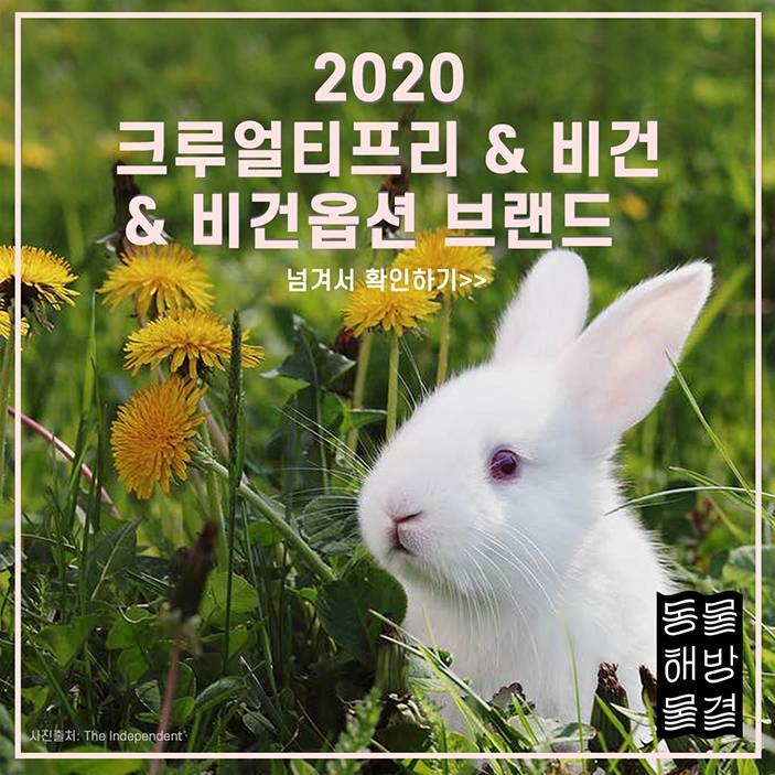 동물실험 안하는 브랜드 & 하는 브랜드 정리 | 인스티즈