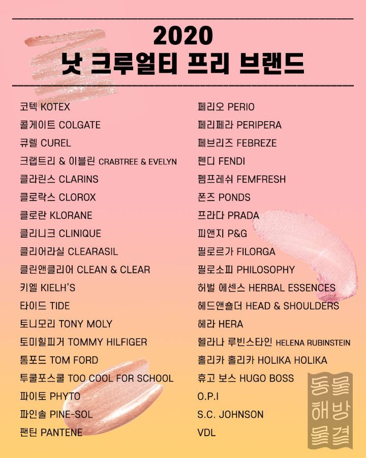 동물실험 안하는 브랜드 & 하는 브랜드 정리 | 인스티즈