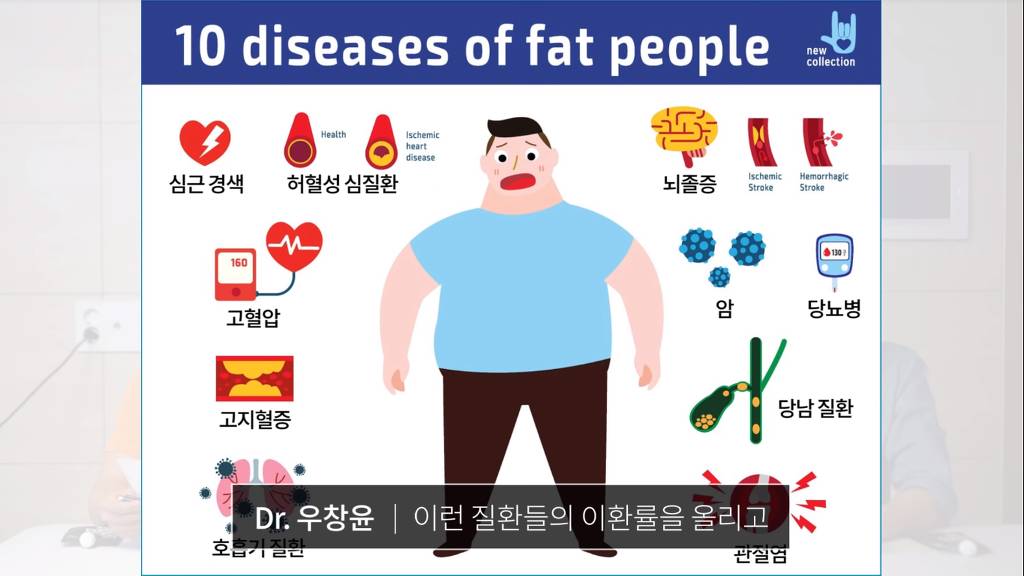 의사가 정리해주는 효과적인 다이어트 식단 (Feat. 내가 살이 안빠지는 이유) | 인스티즈