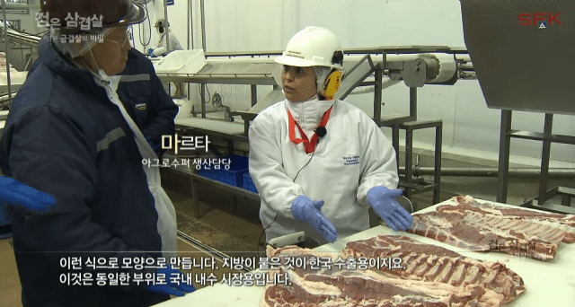 칠레의 삼겹살 한국 수출이 노다지인 이유 .gif - 인스티즈(instiz) 이슈 카테고리