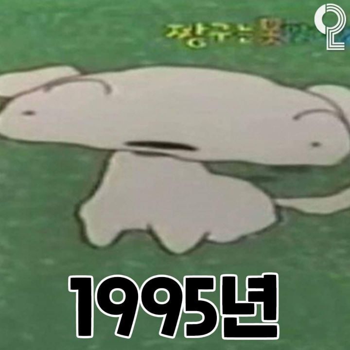 흰둥이 변천사 | 인스티즈
