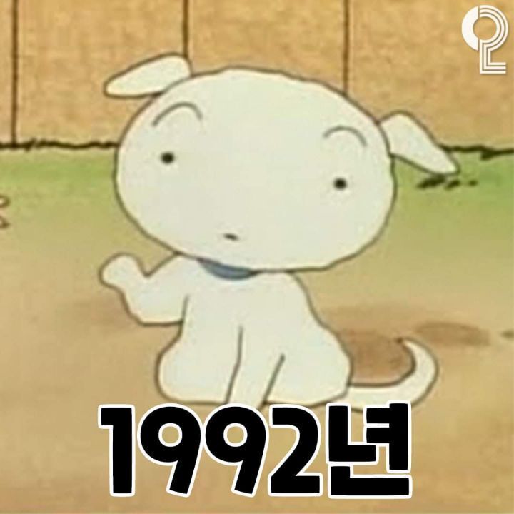 흰둥이 변천사 | 인스티즈