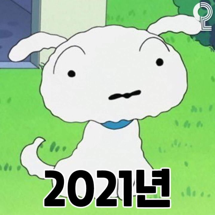 흰둥이 변천사 | 인스티즈