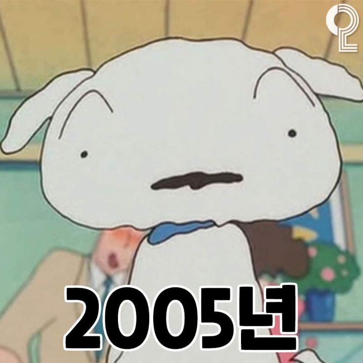 흰둥이 변천사 | 인스티즈