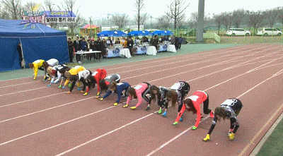 뜨지 못한 걸그룹의 설움 | 인스티즈