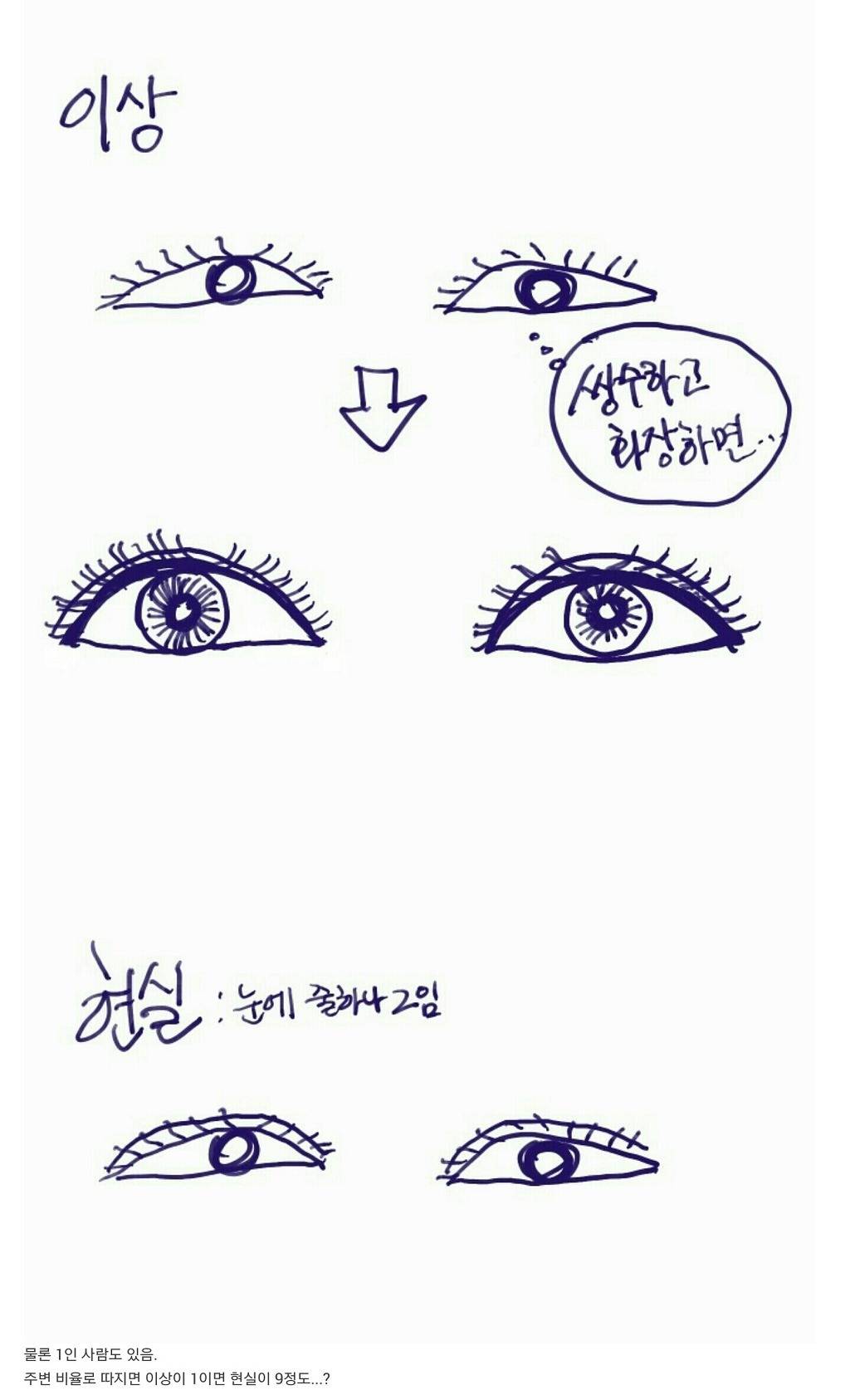 쌍커풀수술의 이상과 현실 | 인스티즈