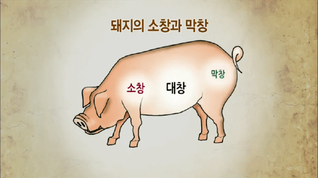 한국인의 밥상 순대편 | 인스티즈