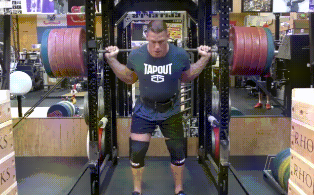260kg 스쿼트 | 인스티즈