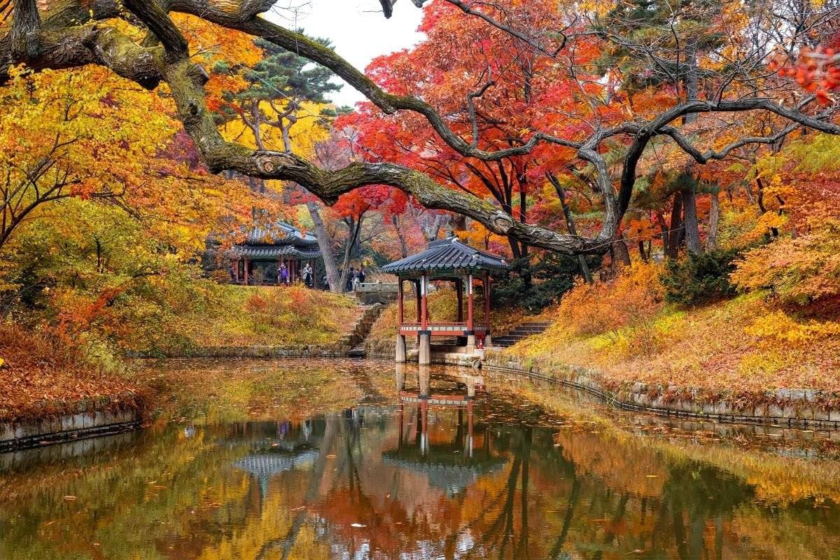 가을 풍경이 예쁜걸로 유명한 창덕궁 후원.JPG | 인스티즈