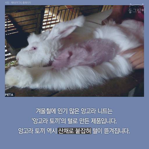 날씨가 쌀쌀해졌으니 따뜻한 겨울옷 장만해야지? 다들 드루와봐 | 인스티즈