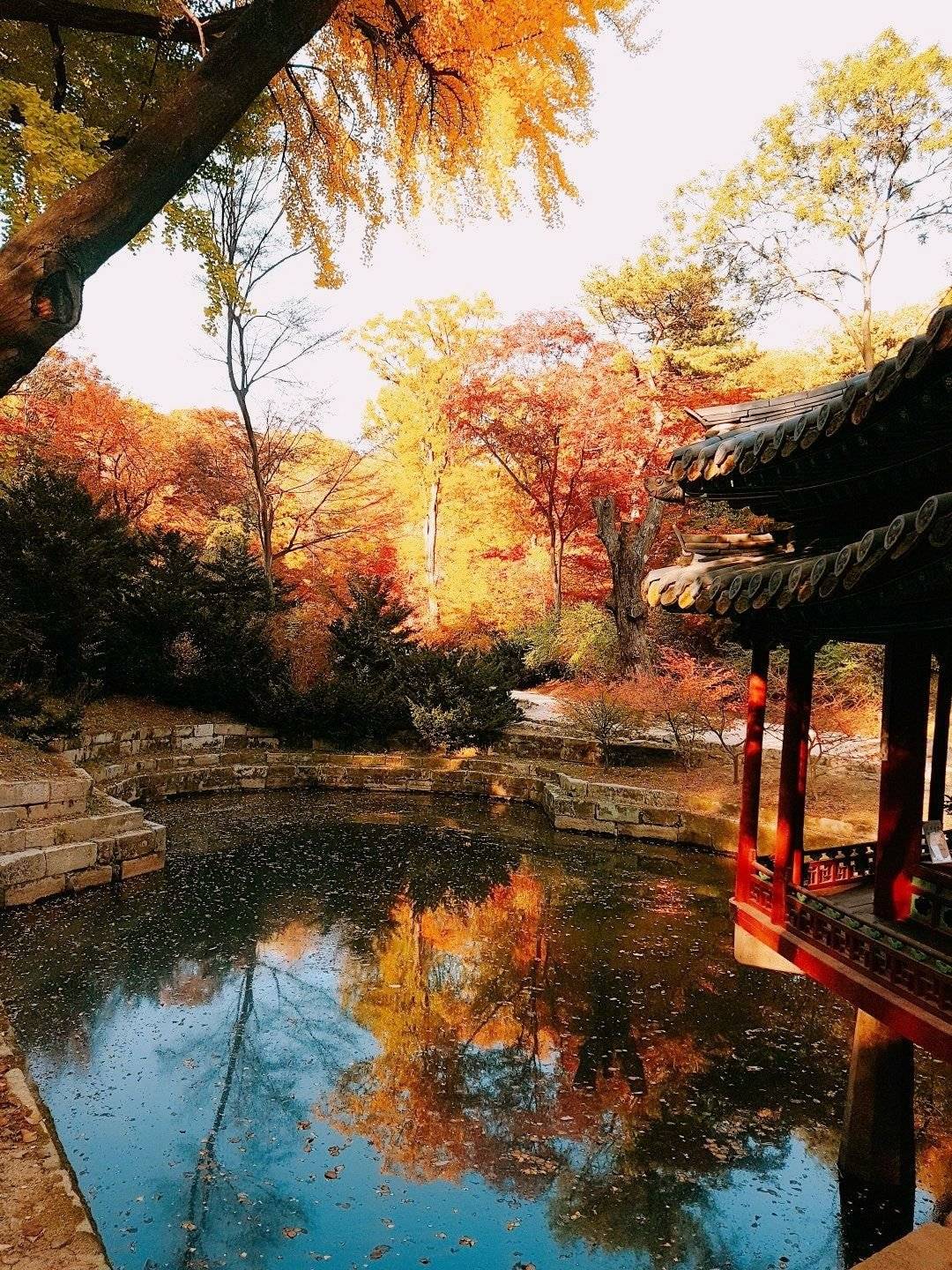 가을 풍경이 예쁜걸로 유명한 창덕궁 후원.JPG | 인스티즈