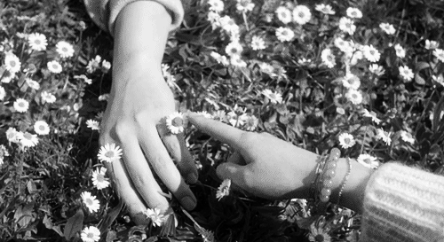  사랑하여 미안하다 | 인스티즈