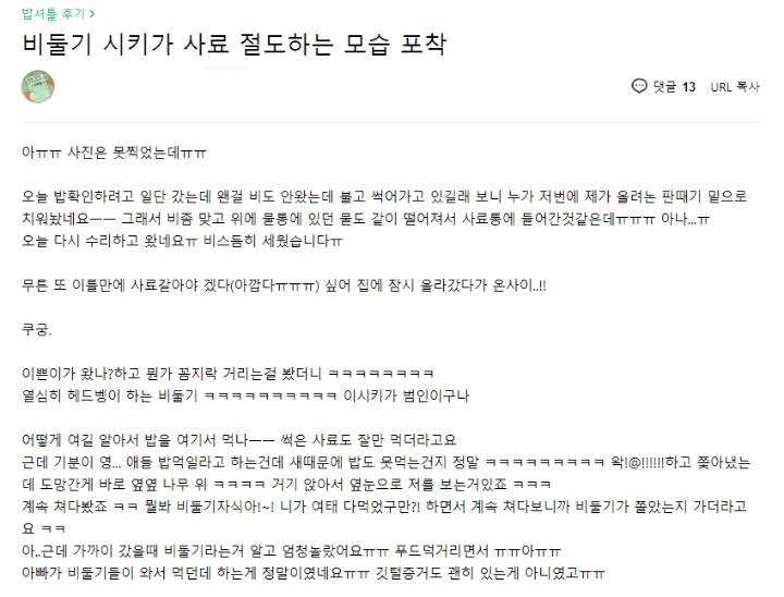 비둘기를 혐오하는 사람들 | 인스티즈