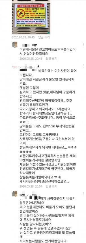 비둘기를 혐오하는 사람들 | 인스티즈