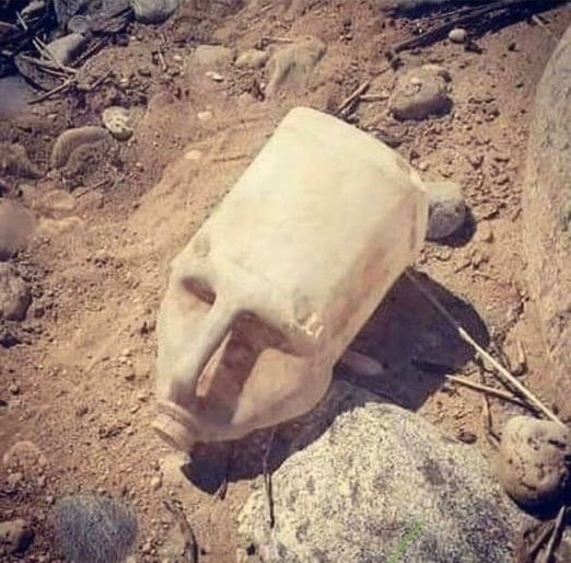 고대인의 두개골 발견....jpg | 인스티즈