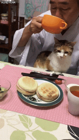 아침식사하는 일본스님 | 인스티즈