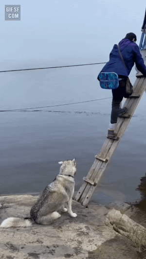 배타는 댕댕이 | 인스티즈