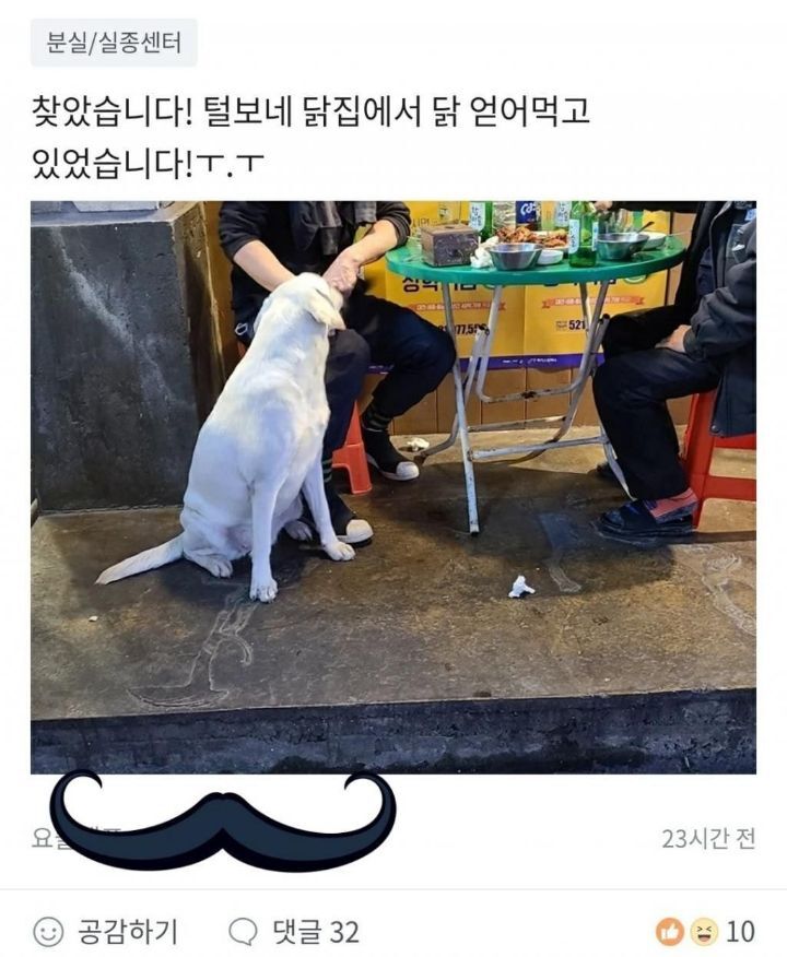 당근마켓에 올라온 댕댕이.JPG | 인스티즈