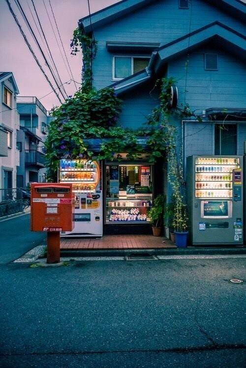 일본이 부러운것 하나.jpg | 인스티즈