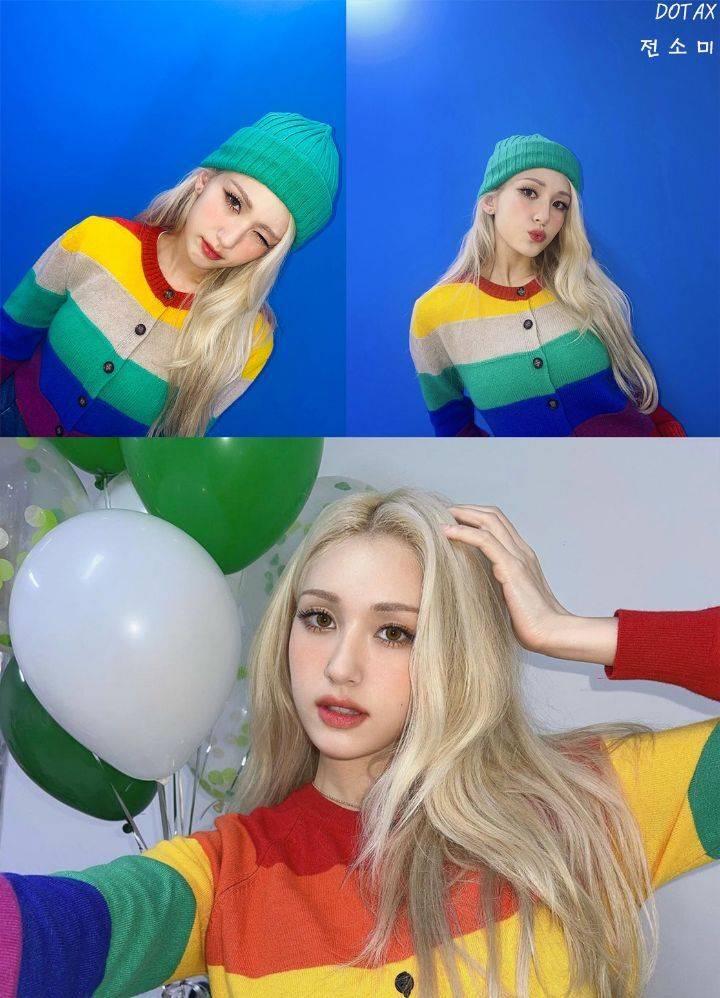 당근마켓에 올라온 댕댕이.JPG | 인스티즈