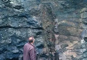 4억 2천만년 전 살았던 곰팡이.jpg | 인스티즈