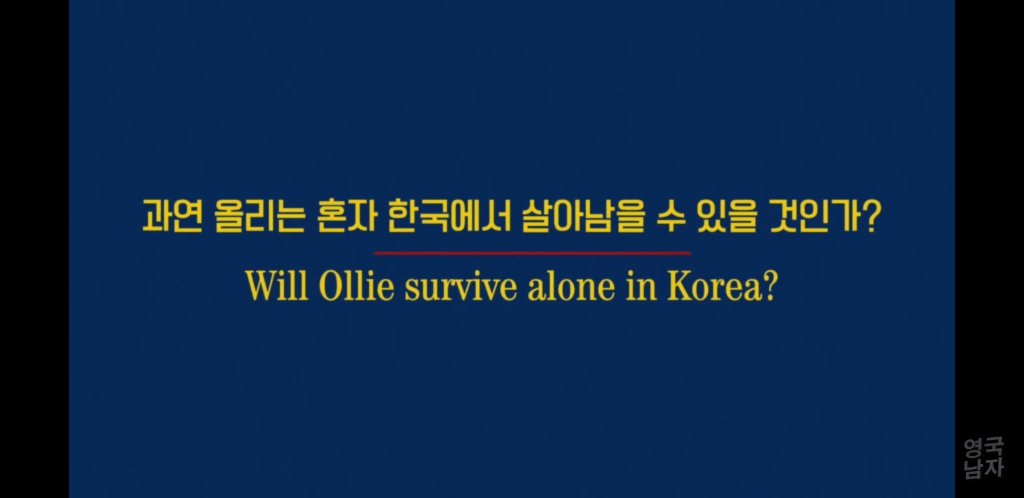 한국어 초보 외국인이 한국에서 혼자 살아남기 | 인스티즈