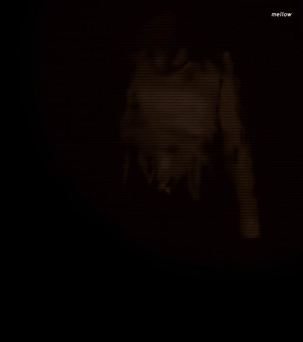 할로윈이라고 올라온 스테이씨 사진 모음.jpg | 인스티즈