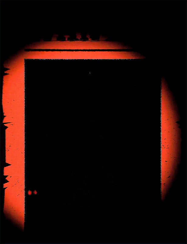 할로윈이라고 올라온 스테이씨 사진 모음.jpg | 인스티즈