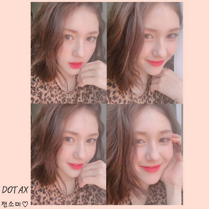 망한 고양이 사진대회.JPG | 인스티즈