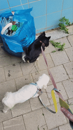 기업 총수는 모든 기업에게 사랑받는 기업을 말하는거야? | 인스티즈