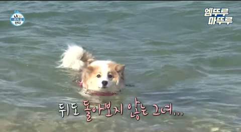 유재석이 1절2절3절뇌절까지 해줬으면 하는 망붕 | 인스티즈