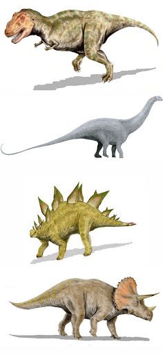 이제부터 집들이 할 때 선물로 가져가면 안 되는 선물 | 인스티즈