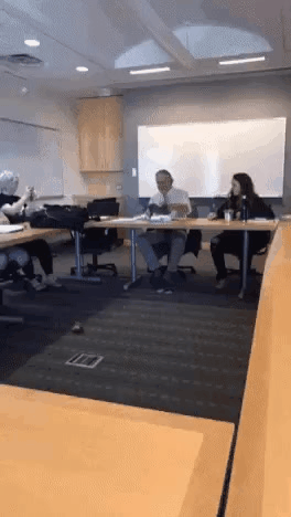 회의실에 난입한 냥이.gif | 인스티즈