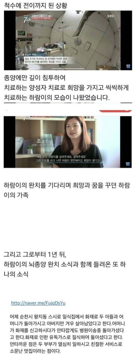 신이 없는이유 | 인스티즈