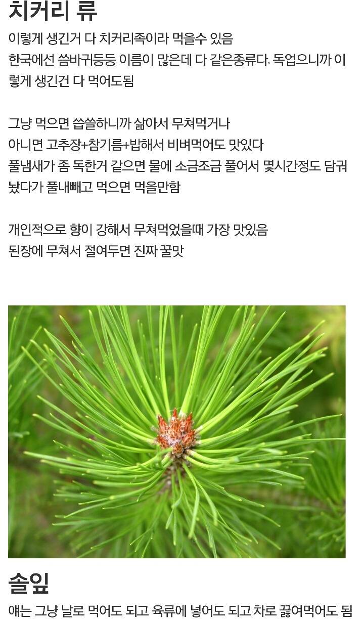 디씨에 새로 생긴 갤러리 | 인스티즈