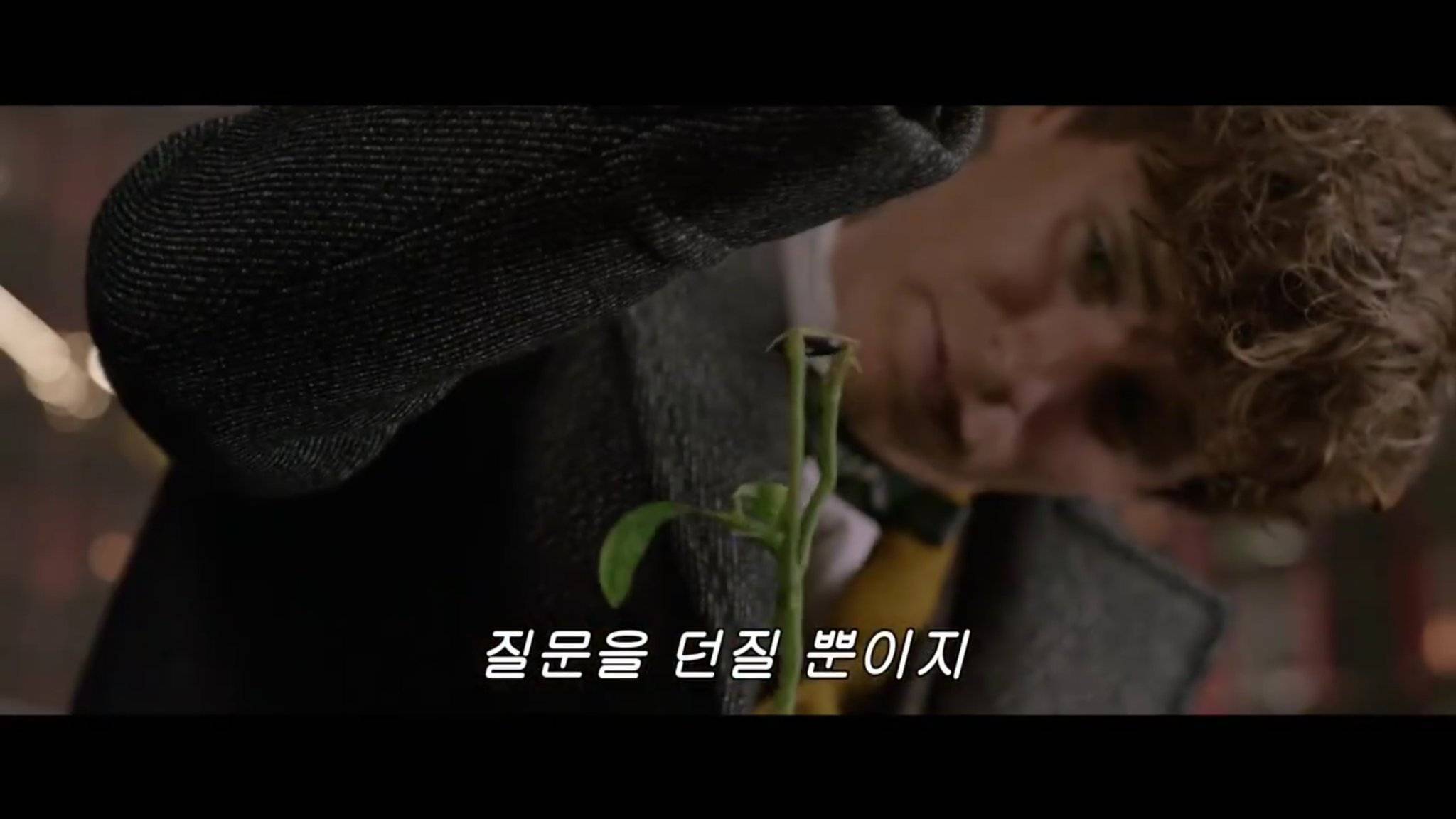 후플푸프 덕후들이 후플푸프를 좋아하는 이유.jpgif | 인스티즈