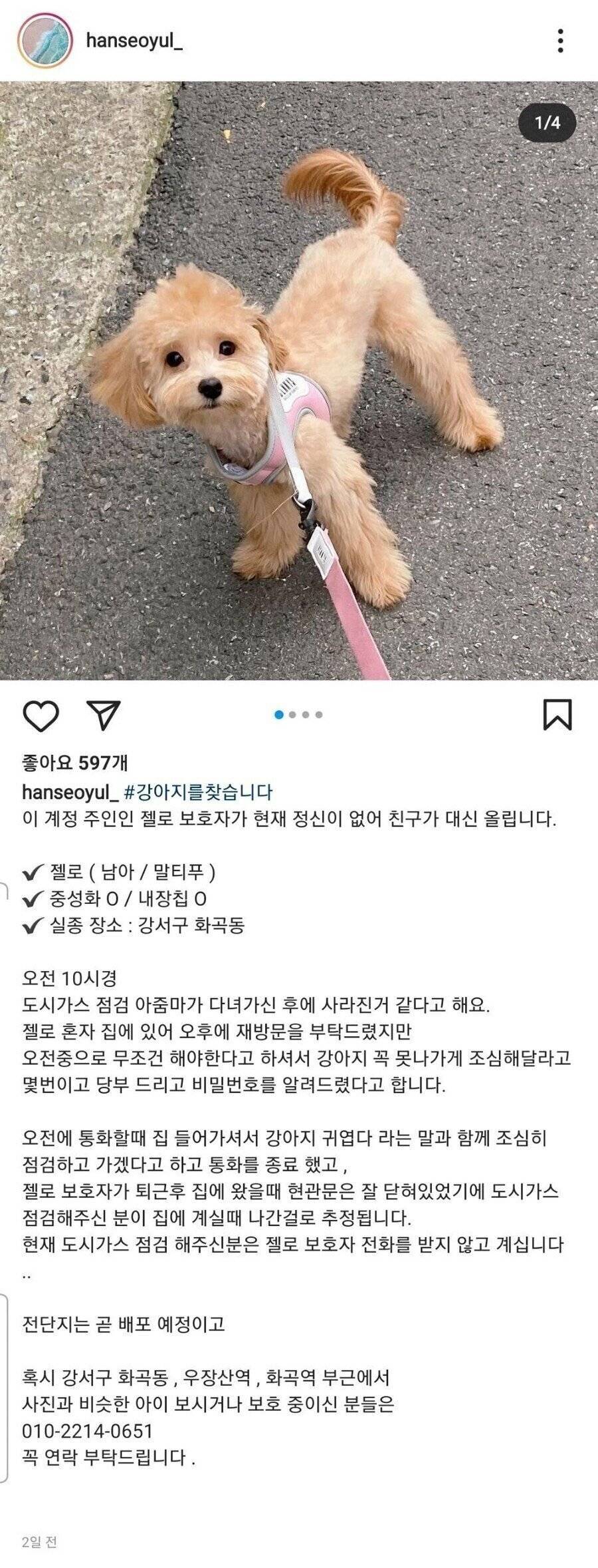 충격적인 가스검침원 강아지 실종 사건 결말..JPG | 인스티즈