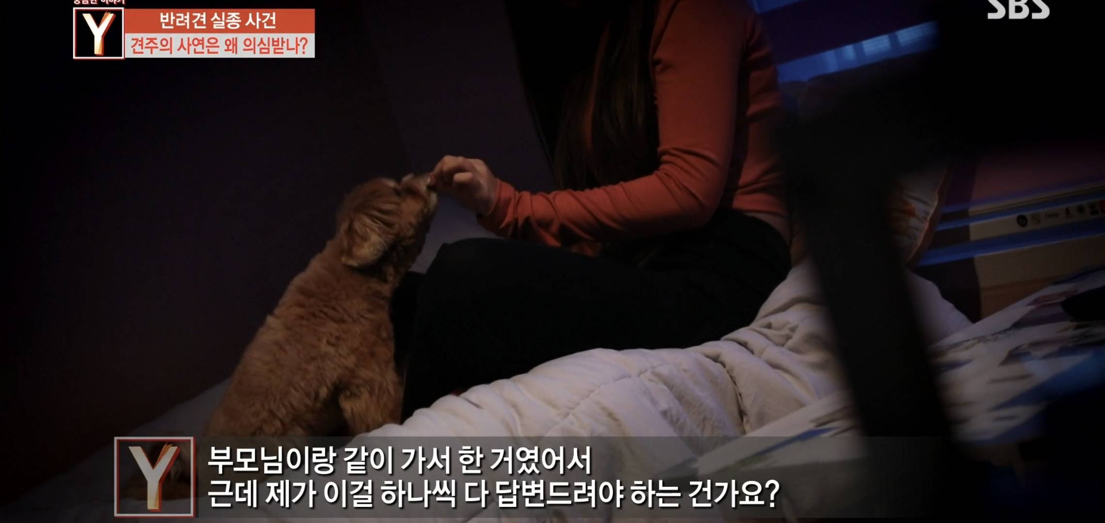 오늘 궁금한 이야기Y에 나온 검침원 강아지 유괴사건 어이없는 흐름과 결말.jpg | 인스티즈